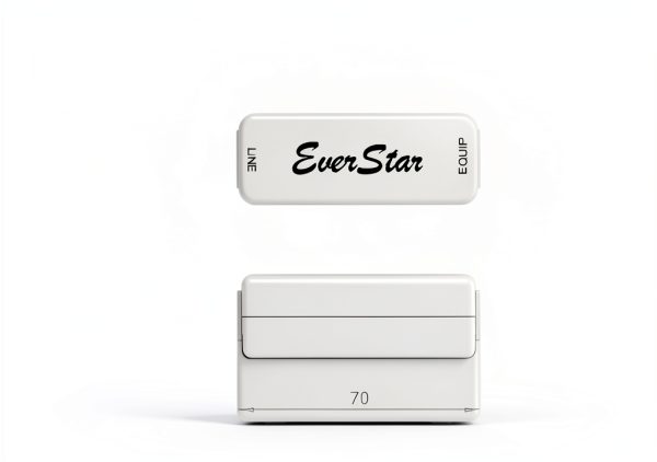 EverStar Vision&Communication Laptop Network Adapter MI30XG-3
